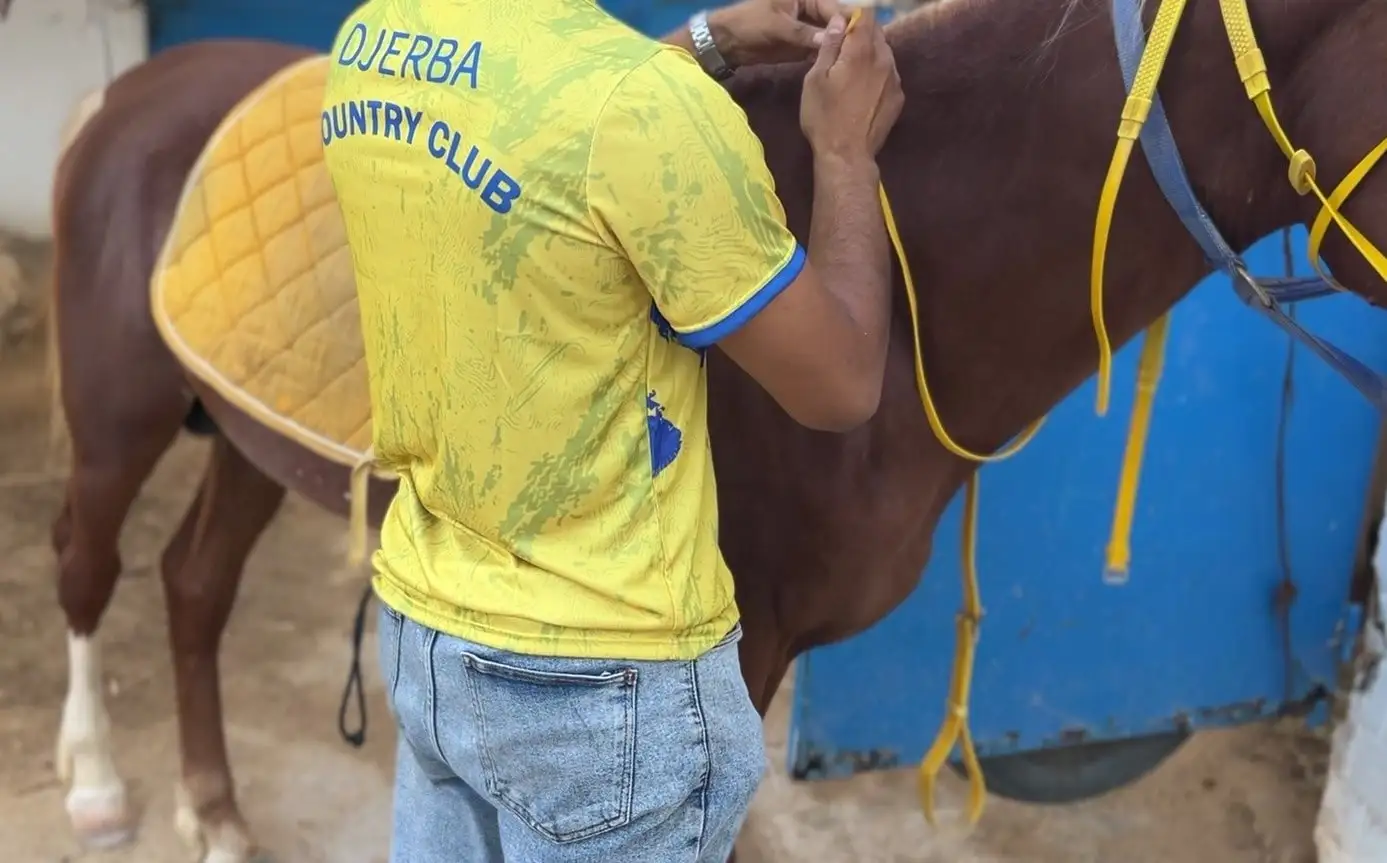 Préparation d'un cheval à l'écurie du club